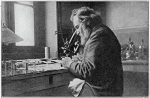 Elie Metchnikoff
