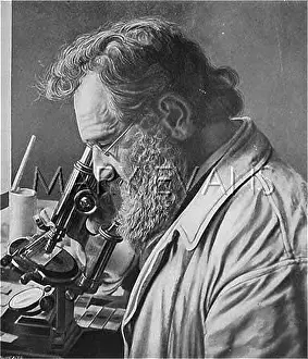 Ilich: ELIE METCHNIKOFF