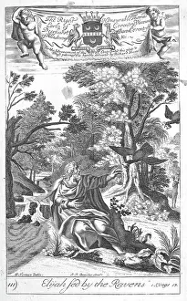 Reuben Luke Collection: Elijah fed by the raves