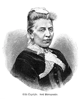 Elise: ELISE ORZESZKO