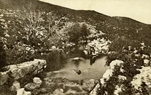 Elisha: Elisha's Fountain - Palestine