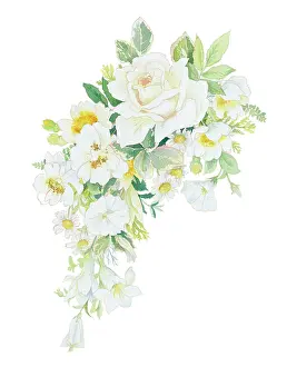 Rambling: Elizabeth Harkness and Rambling Rector Roses