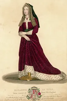1466: ELIZABETH OF YORK