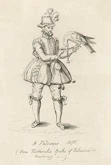 Hawking: ELIZABETHAN FALCONER