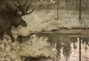 Kittelsen: Elk at Twilight
