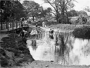 Clumber: ELKESLEY FORD