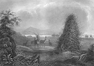 Elks: ELKHORN PYRAMID