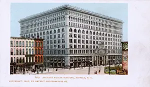 Ellicott: Ellicott Square Building, Buffalo, New York State, USA