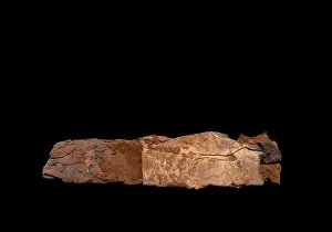 Peat: Elling Woman, Silkeborg Museum, Silkeborg, Jutland, Denmark
