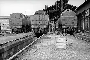 Bedford: Nine Elms Old Shed with the back of three steam engines