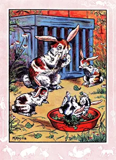 Bunnies: Elsie's bunny rabbits