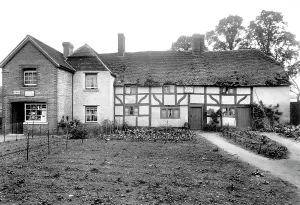 Elstead: Elstead, Post Office 1906