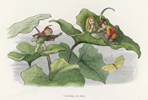 Teasing: Three elves on leaves