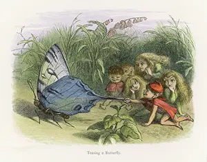Tease: Elves teasing a butterfly