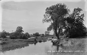 Riverbank: The Elwy at Bryn Asaph
