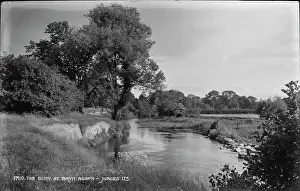 Wildflowers: The Elwy at Bryn Asaph