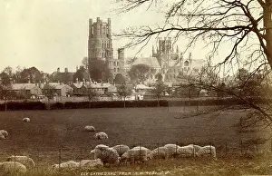 Cambs: Ely Cathedral, Ely, Cambridgeshire