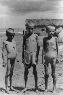 War 2: Three emaciated Polish refugee children who have