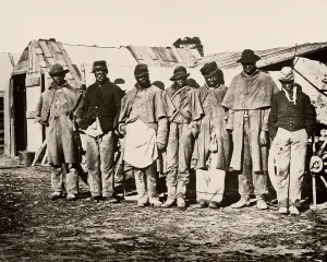 Civl: Emancipated Slaves Serving As Teamsters in the
