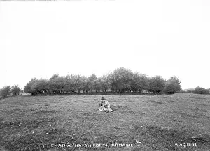 Clump: Emania (Navan for t), Armagh