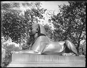 Compliment: EMBANKMENT SPHINX
