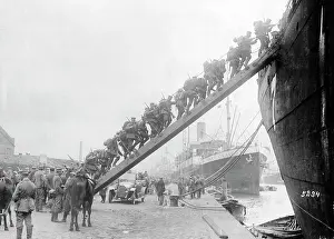 Oesel: Embarkation of troops for the occupation of Saaremaa, 1917