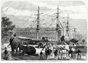Aug19: Embarking elephants at Bombay for the Abyssinian Expedition