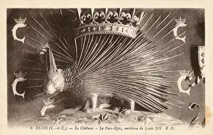 Dolphins: Emblem of Louis XII