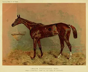 Steeplechase: Emblem (Racehorse)