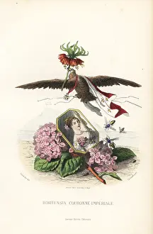 Geoffrois: Emblematic illustration of hortensia and crown