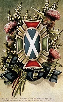 Thistles: Emblems of Scotland