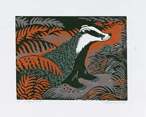 Emerging: Emerging Badger