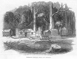Otago: Emigrant's cottage