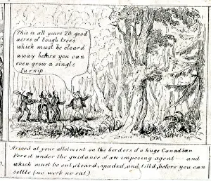 Emigration: Emigration - Arrival in Canadian Forest