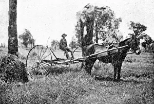 Migrants: Emigration to Australia
