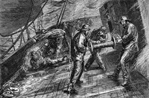 Inman: Emigration. New to Old England, in the Inman Steamer