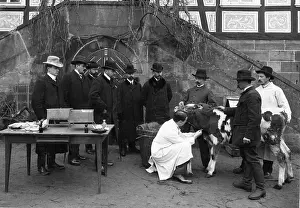 Vaccine: Emil von Behring demonstrates tuberculosis vaccination of an