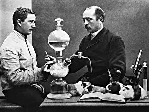 Adolph: Emil von Behring in the laboratory during animal experiments