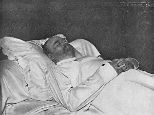 Zola: EMILE ZOLA DEAD