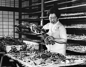 Silkworms: Emperor Hirohito