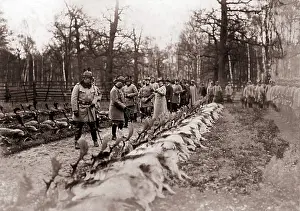 Sows: Emperor Wilhelm II in Letzlingen, 1912