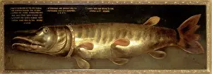 Esox: The Emperor's Pike