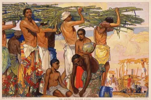 Bundles: The Empire's sugar cane