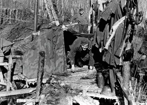 Tribes: Emplacement on the Volkhov, 1942