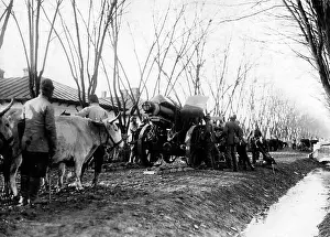 Pursuit: Emplacing heavy artillery, 1917