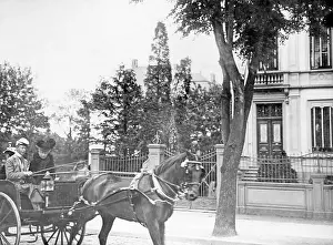 Steering: The Empress with the Crown Prince on the way
