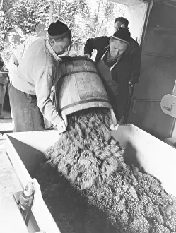 Emptying: Emptying a wine butte