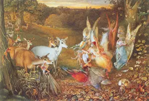 Enchanted: The Enchanted Forest