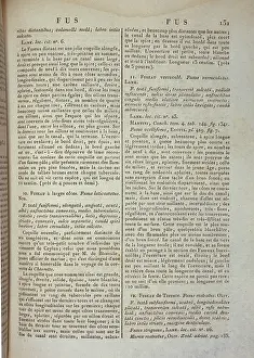 Encyclopedie: Encyclopedie Methodique