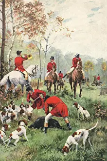 Zimmer: End of Boar Hunt